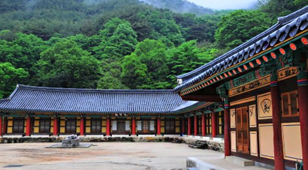 More beautiful pension with sea|아름다운 바다 풍경을 볼 수 있는 펜션#BEAUTYFUL SEA